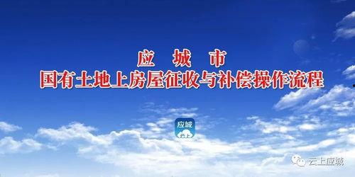 今日应城新闻爆料最新,应城突发！最新事件引发广泛关注